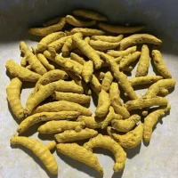 turmeric